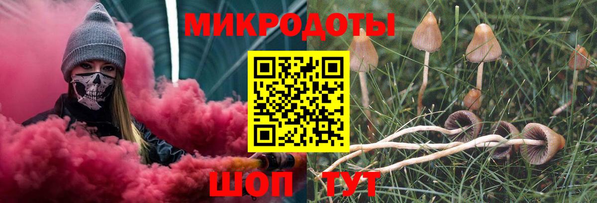 Галлюциногенные грибы Psilocybine cubensis  Вход с VPN  Азнакаево 